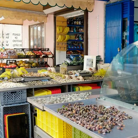 A Casa Da Joana דירה קוסטה דה קפאריקה